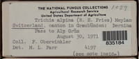 Image Associated With the Occurence